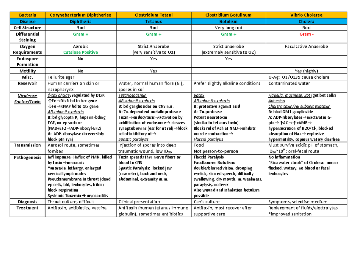 145156916 Nina Bacteria Chart Medical School Step 1 - Bacteria ...