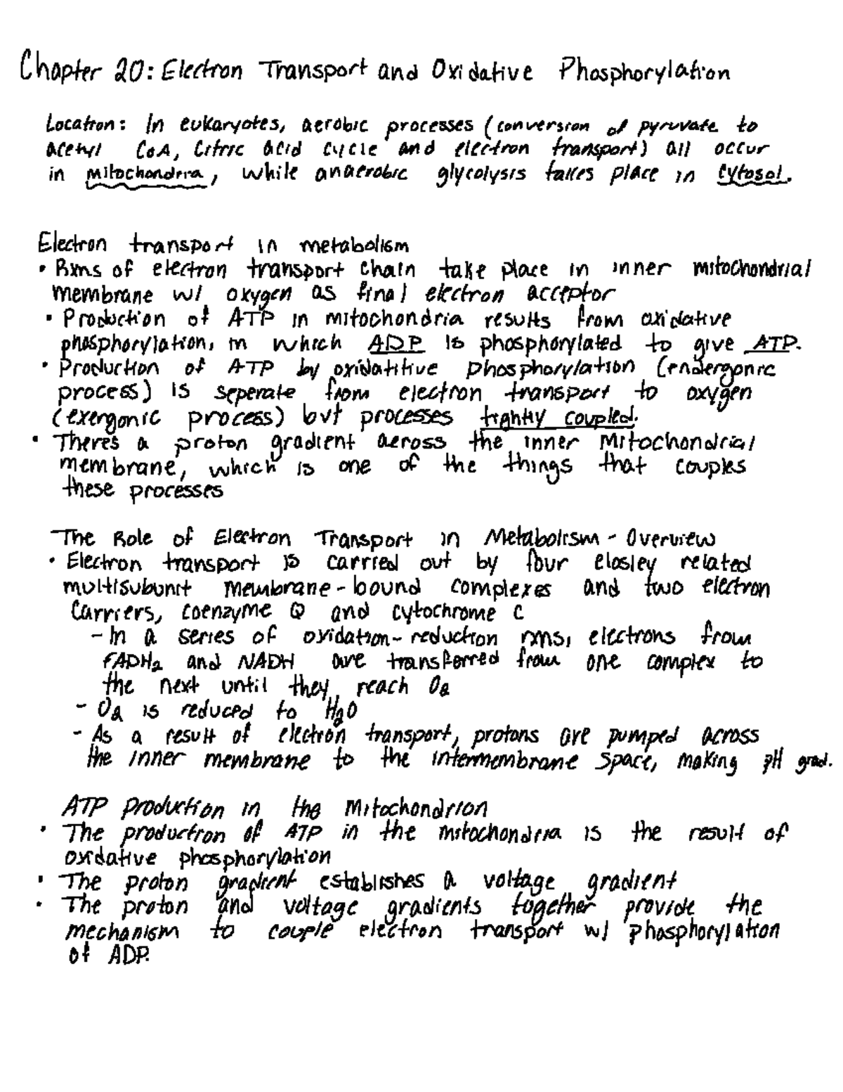 Chapter 20 - Lecture notes 20 - CHEM 451 - EMU - Studocu