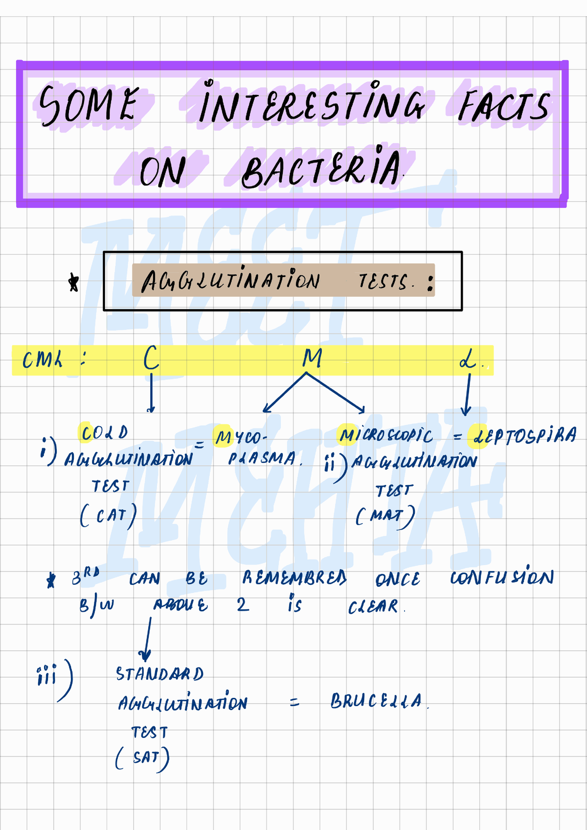 Bacteriology - Summary Human Anatomy And Physiology - Studocu