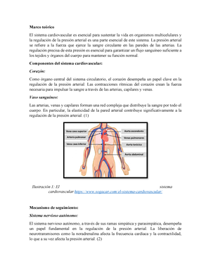 Figure: Medición de la presión arterial - Manual MSD versión para público  general