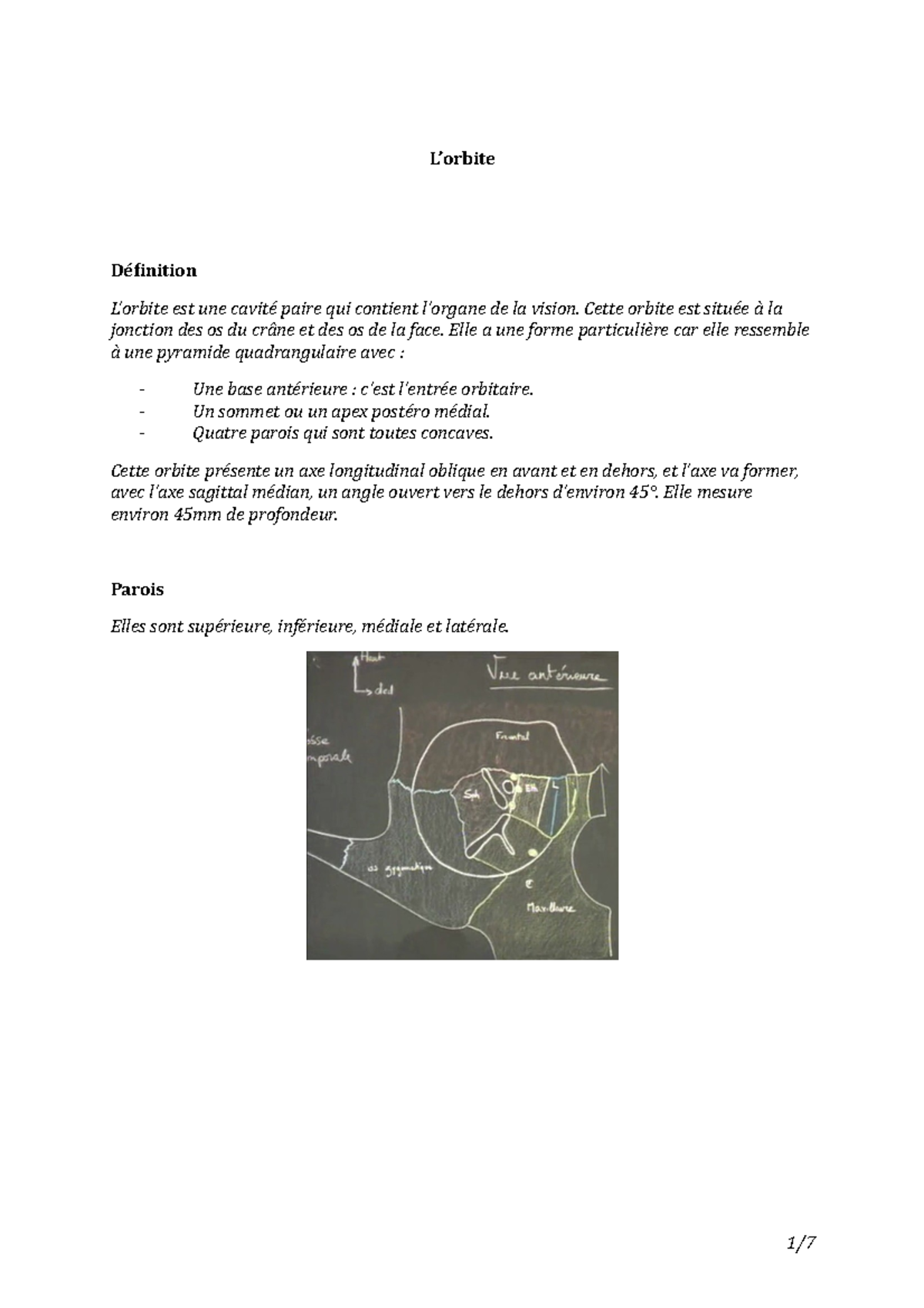 10L’orbite - cours d'anatomie spécialité médecine PACES - L’orbite ...