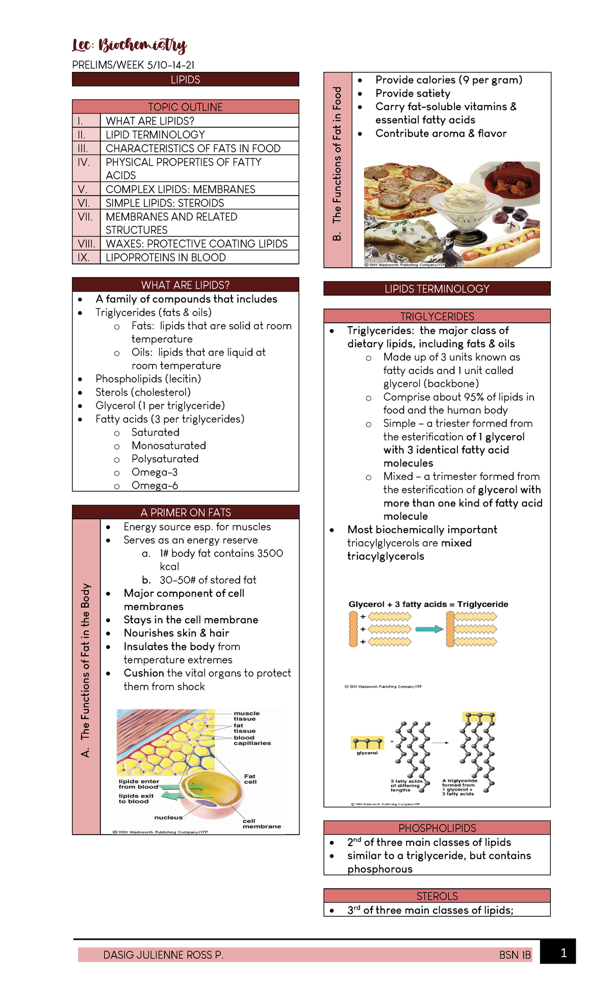 critical thinking questions about lipids