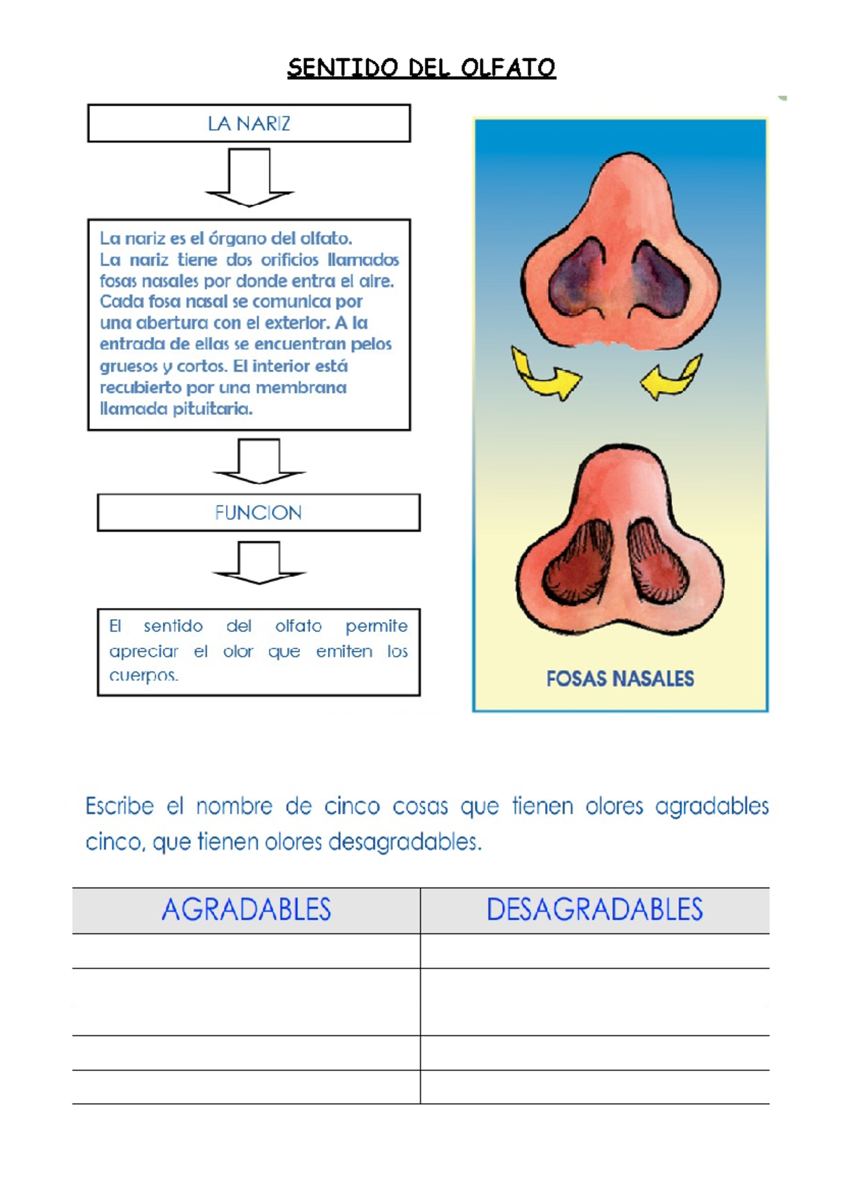 Ficha 1-8 - comunicación - uso del diccionario - SENTIDO DEL OLFATO ...