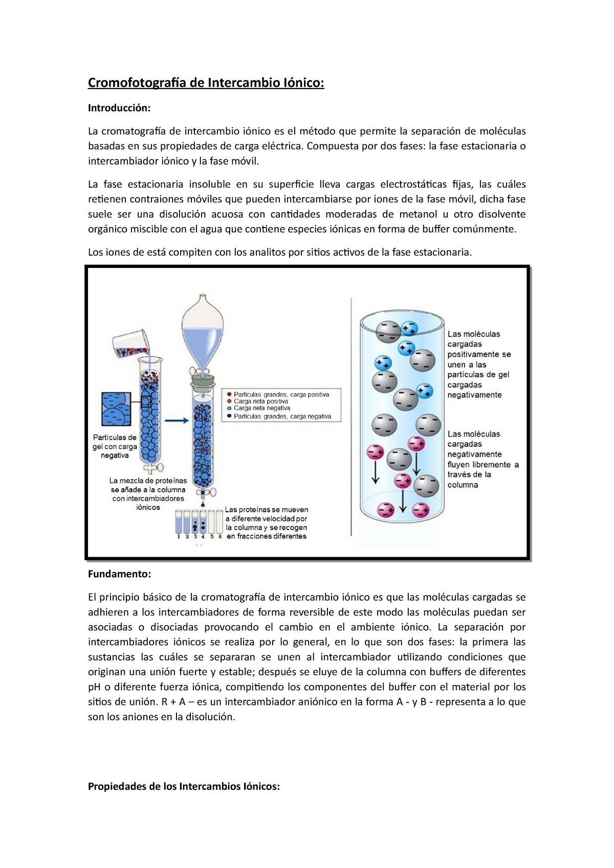 cromatografía de intercambio de iones