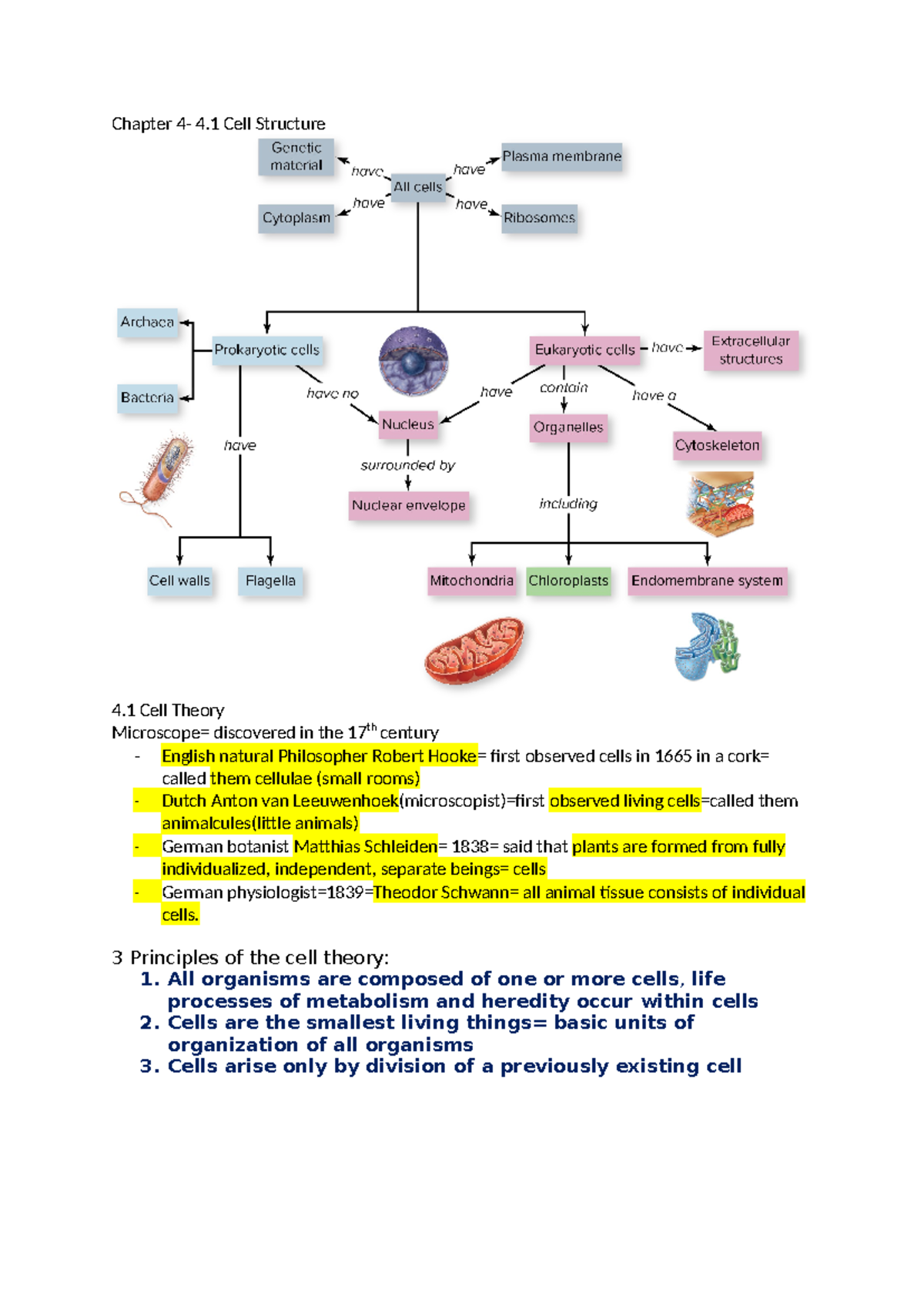 MLB111- Chapter 4 - Summary Molecular And Cell Biology - Chapter 4- 4 ...