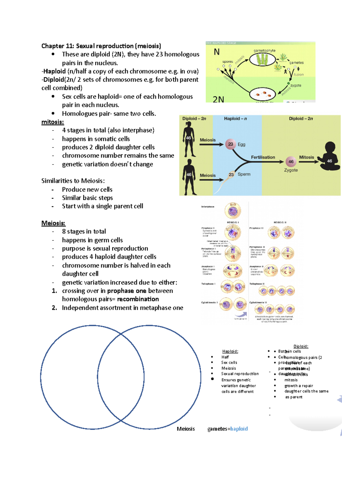 Chapter 11 BIOLOGY - Year 11 - Unit 2 - VCE - StuDocu