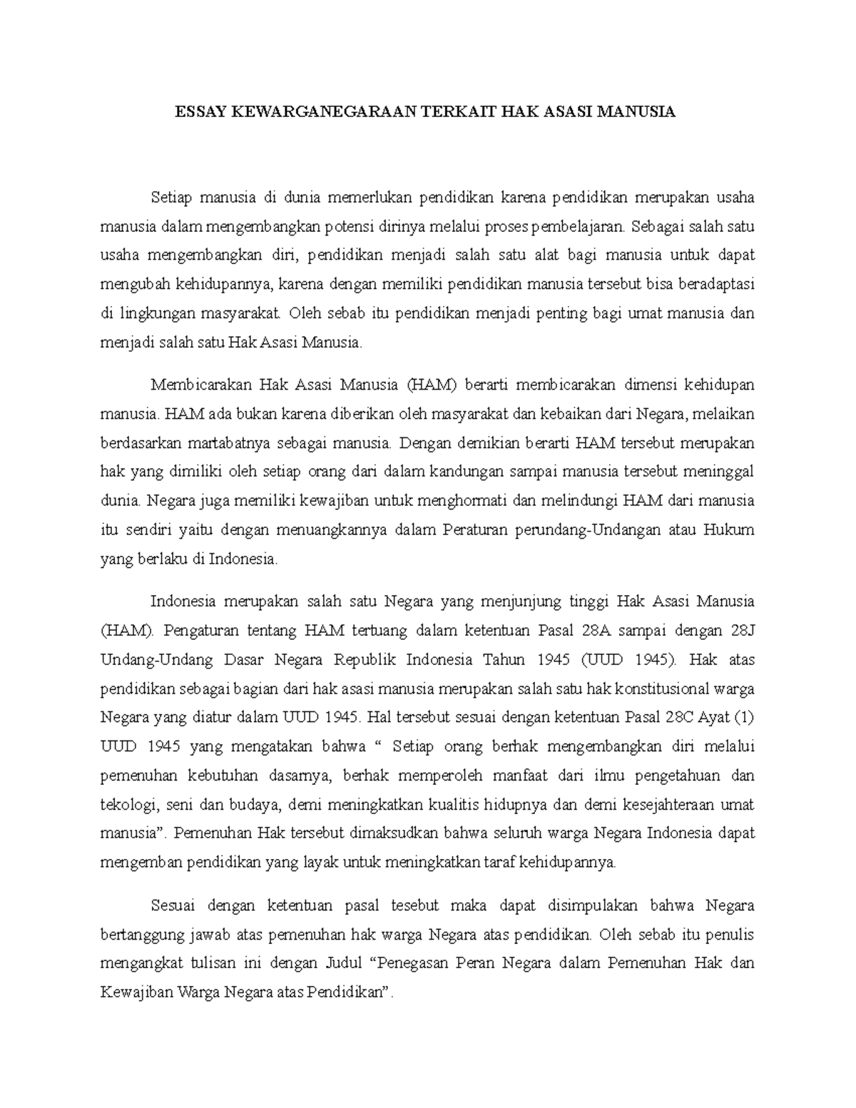 Hammy Tv Leaks: A Critical Analysis - 47d455b