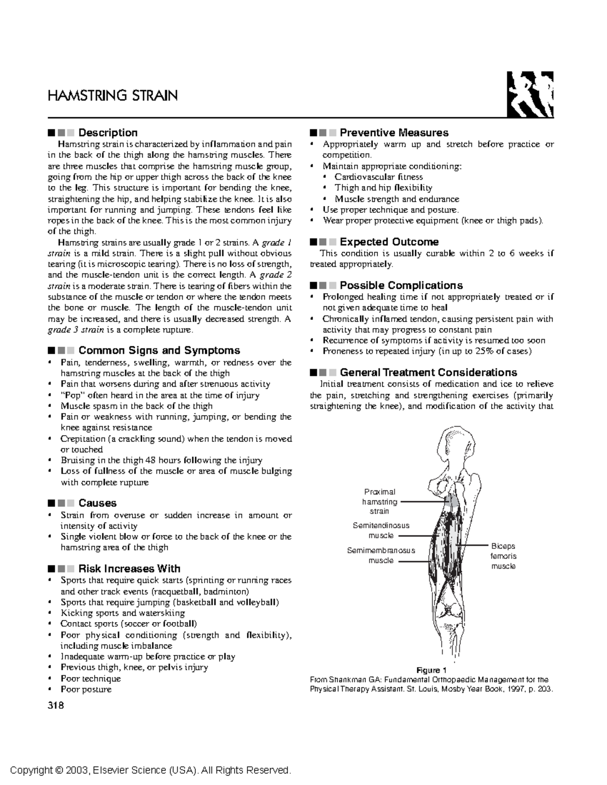 Hamstring Strain Ejercicios 318 Description Hamstring strain is