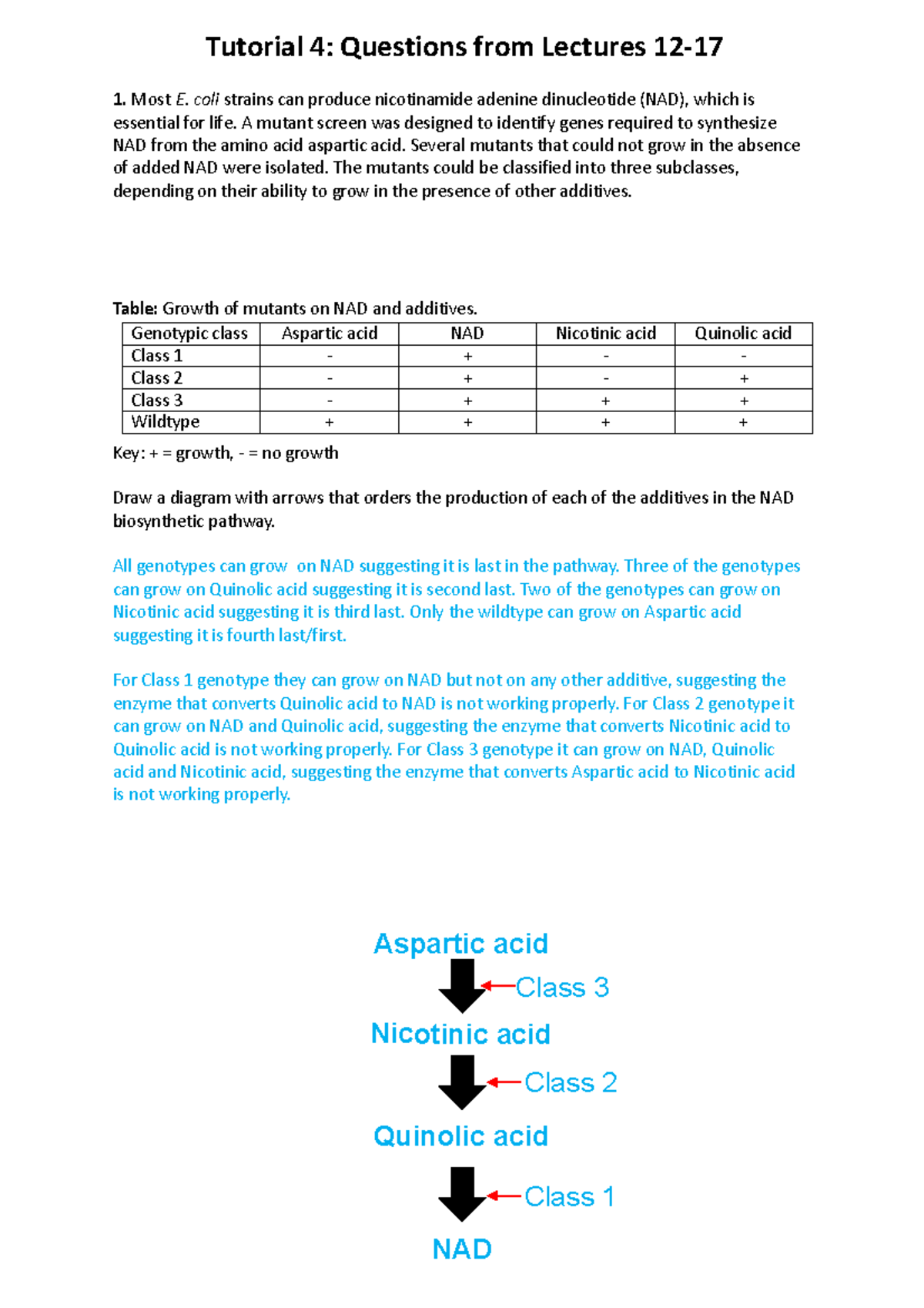 Tutorial+4+Answers - GEGE 2001 tutorial - Table: Growth of mutants on ...