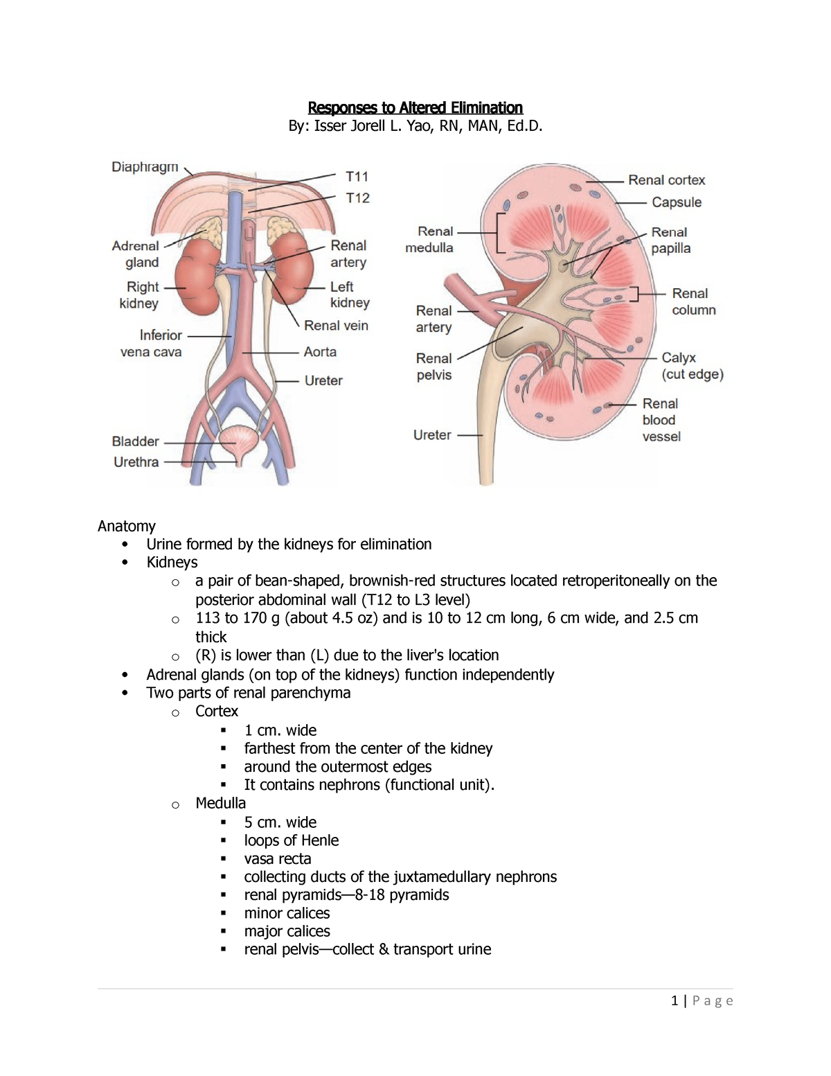 research topics in renal nursing