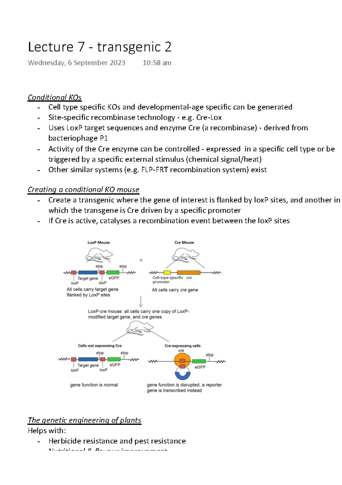 Lecture 7 - transgenic 2 - Conditional KOs Cell type specific KOs and ...
