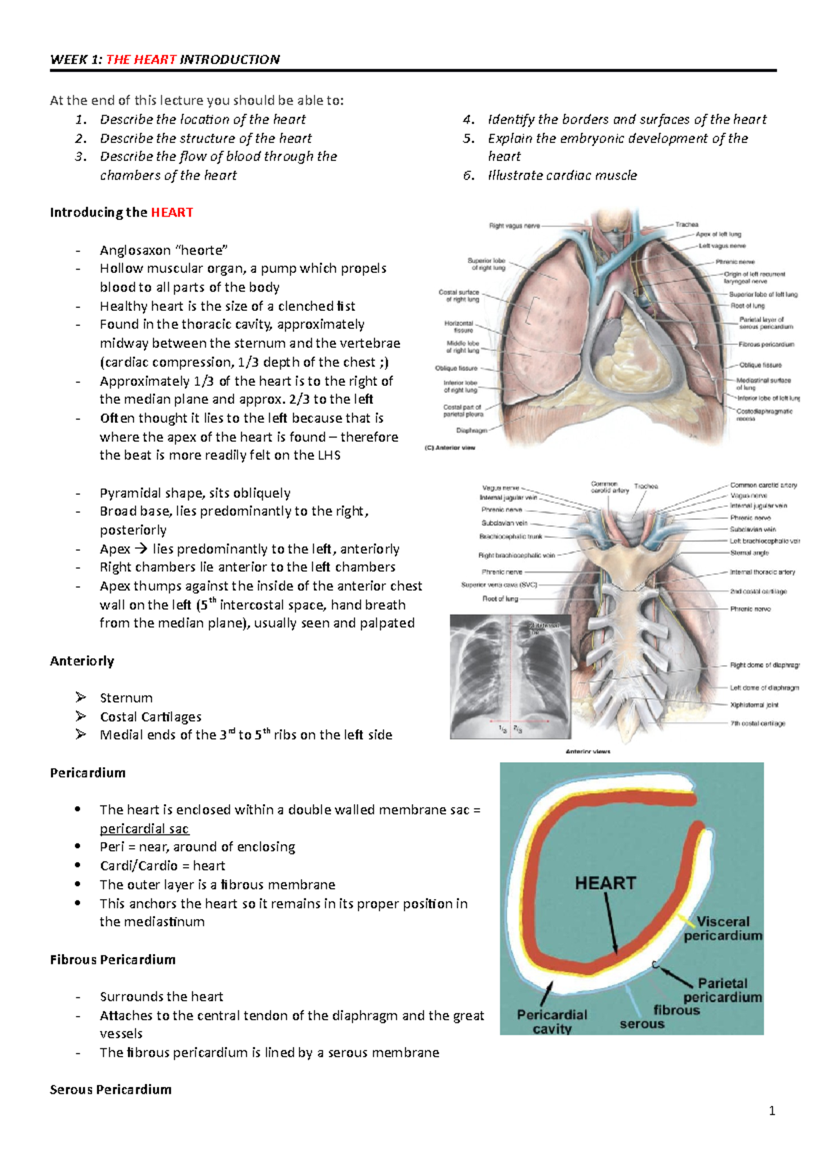 Weeks 1-3 - WEEK 1: THE HEART INTRODUCTION At the end of this lecture ...