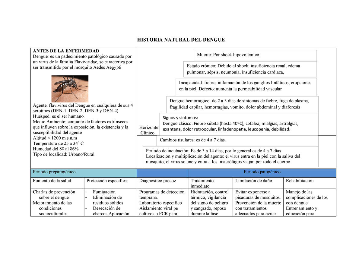 Historia natural del dengue StuDocu