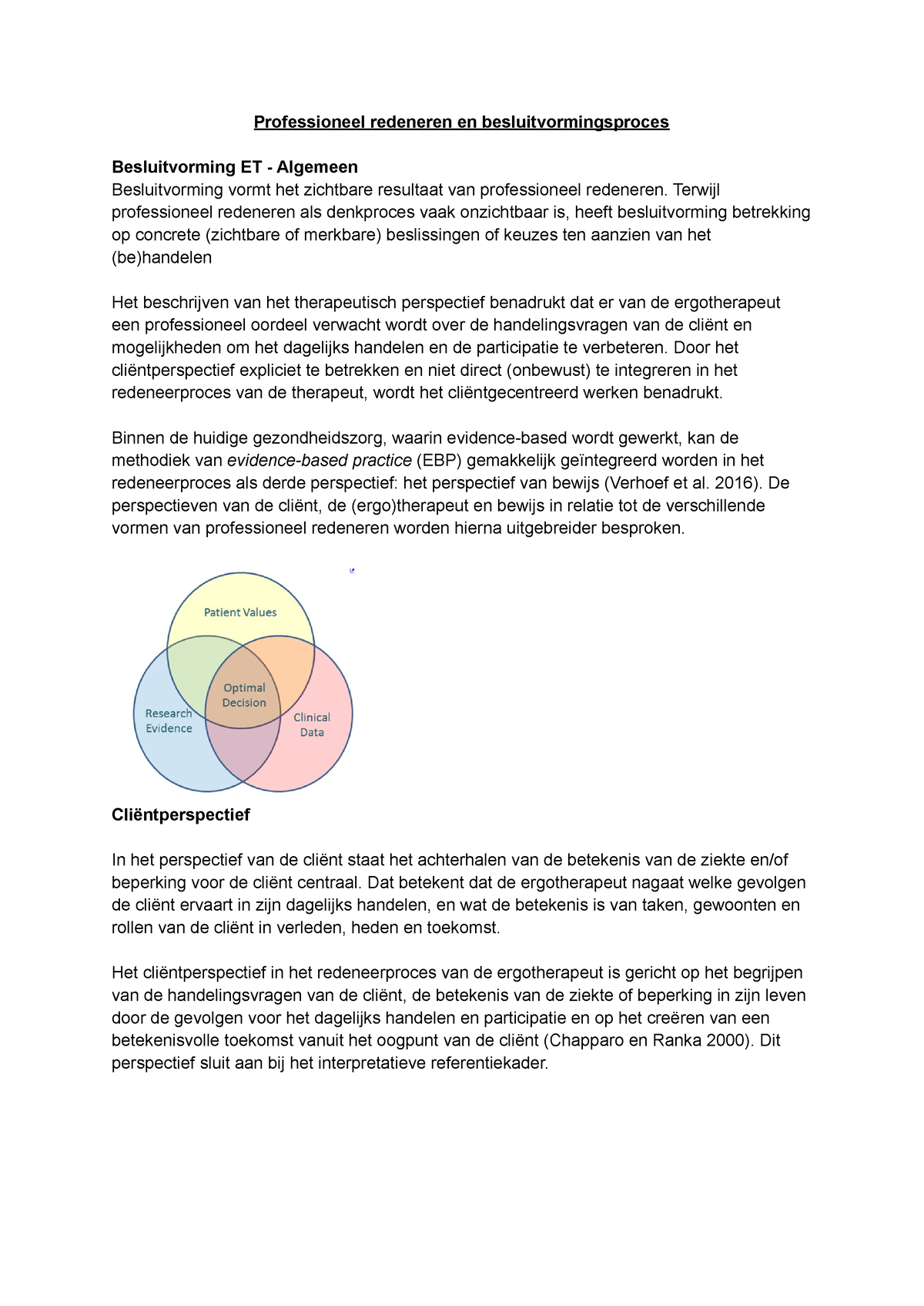 Professioneel Redeneren En Besluitvormingsproces - Professioneel ...