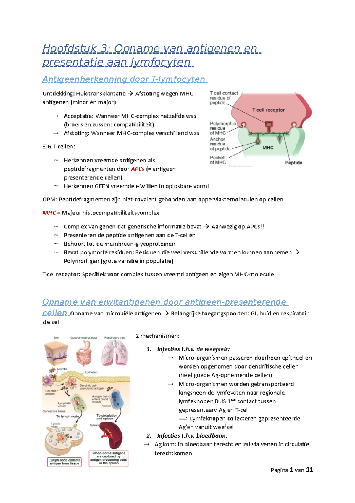 Hoofdstuk 3 - Samenvatting M.b.v. Ppt's En Lesnotities. - Hoofdstuk 3 ...