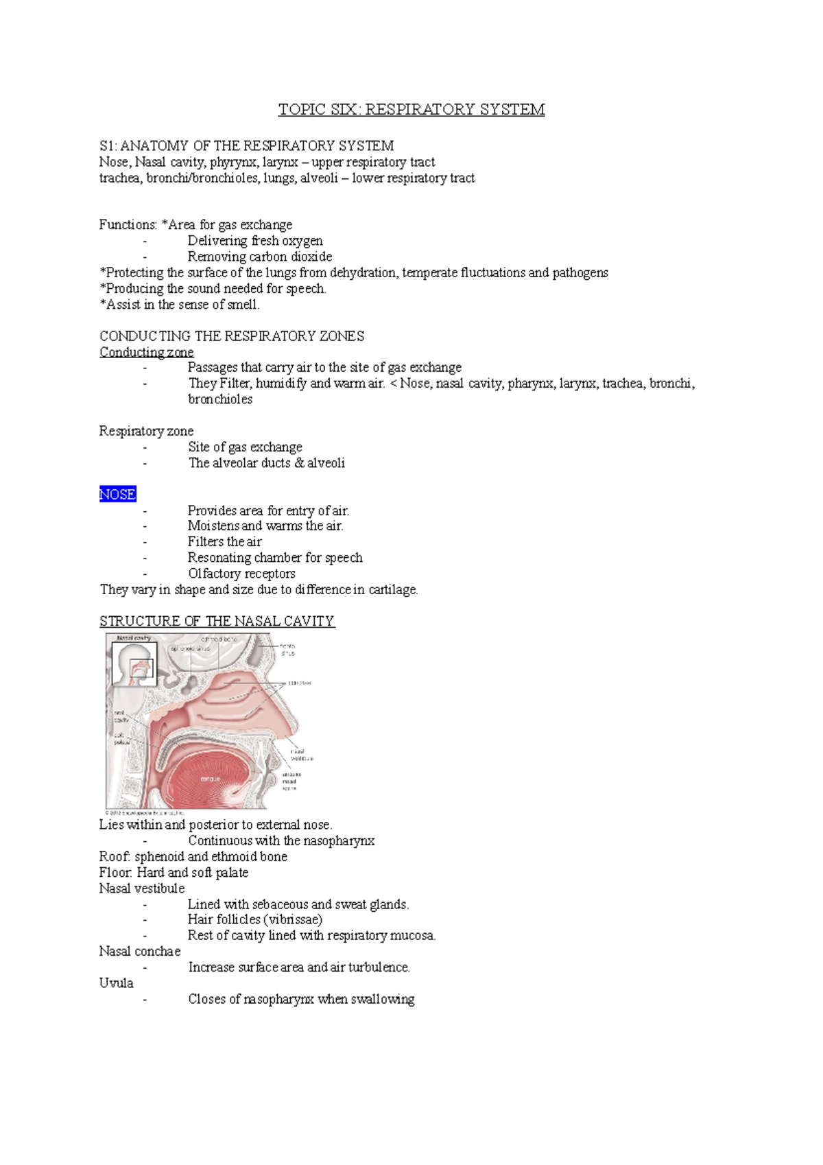 respiratory system - TOPIC SIX: RESPIRATORY SYSTEM S1: ANATOMY OF THE ...