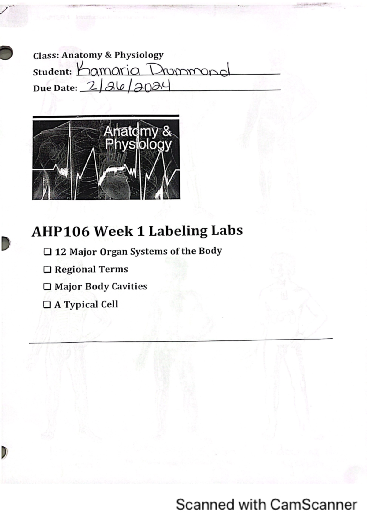 Week 1 Lab (A&F) - Assignment 1 For Week 1 - AHP106 - Studocu