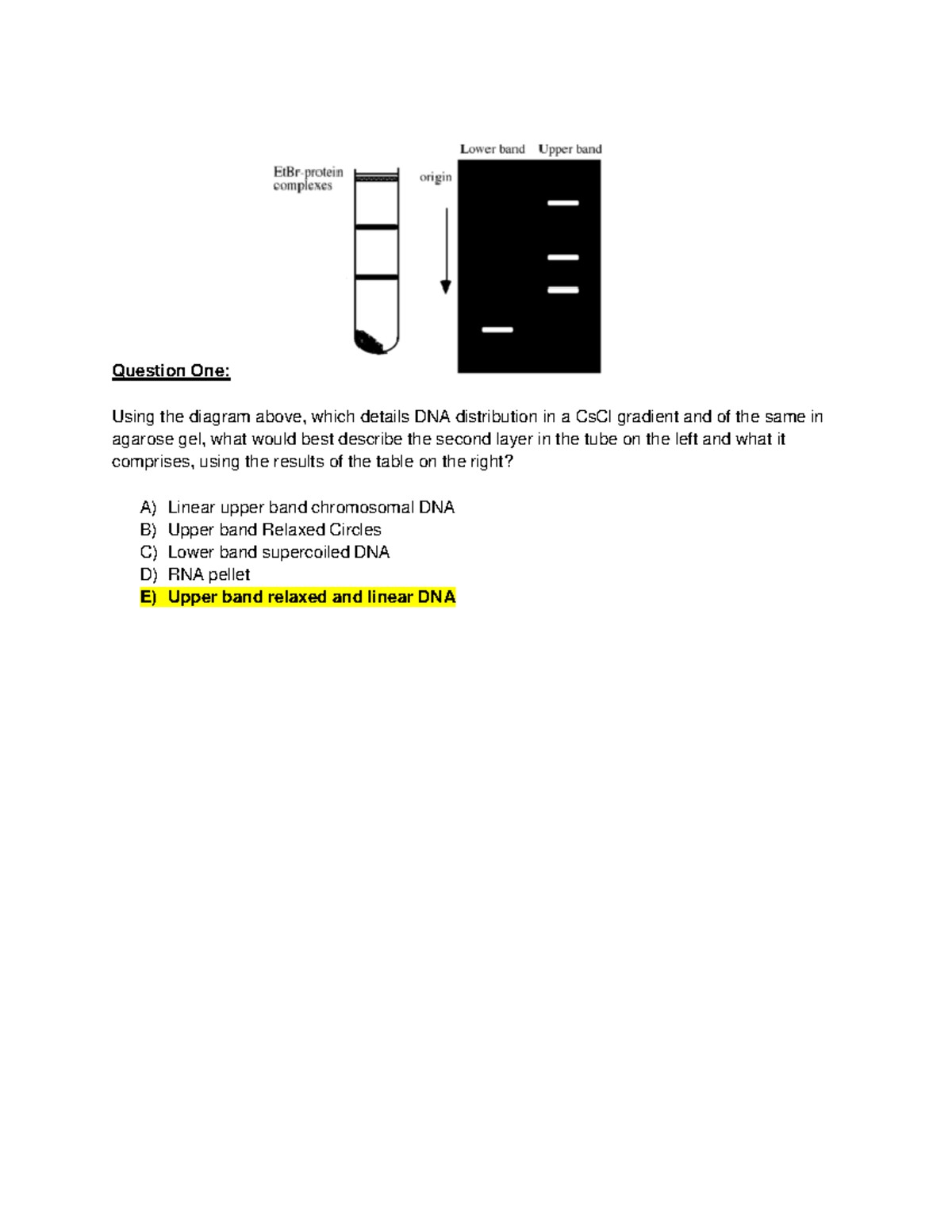 Molecular Biology Assignment One - Question One: Using the diagram ...