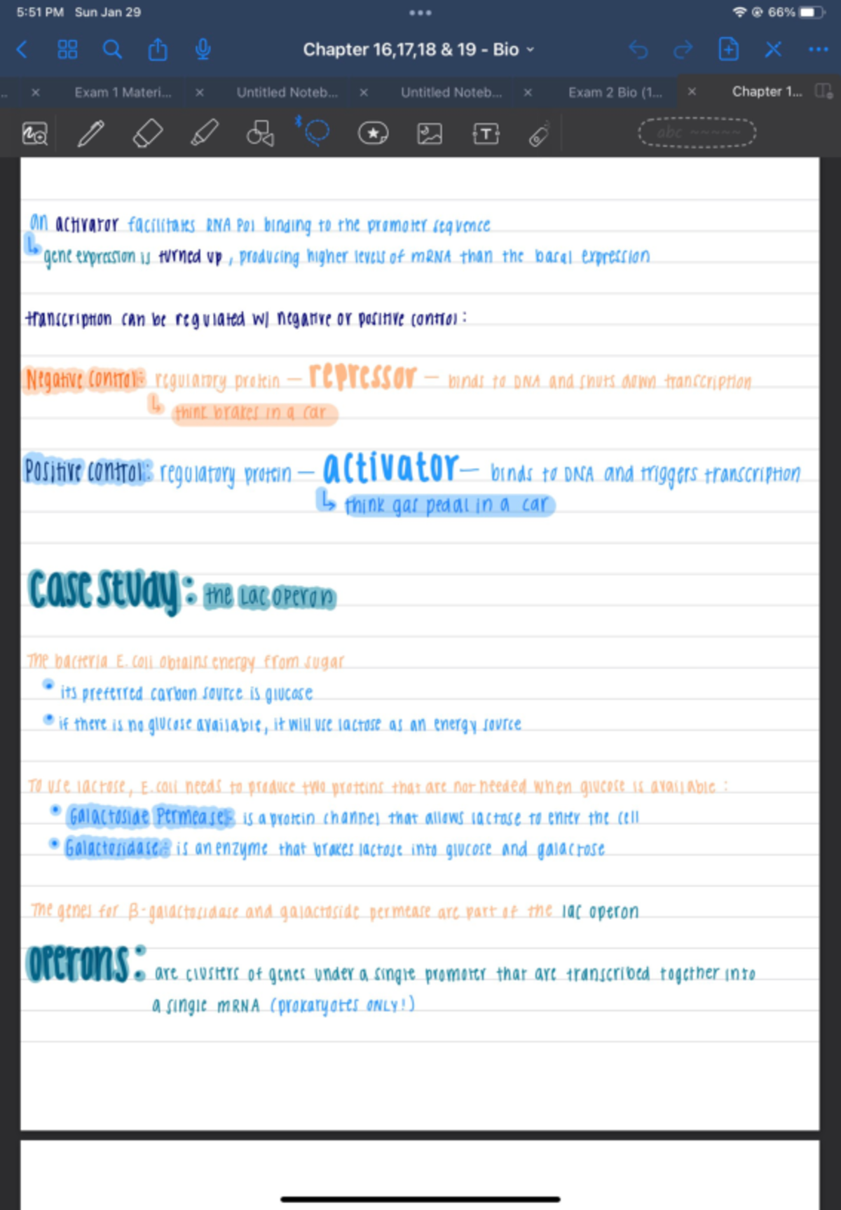 Chapter 18 Notes - BI 111 - Studocu