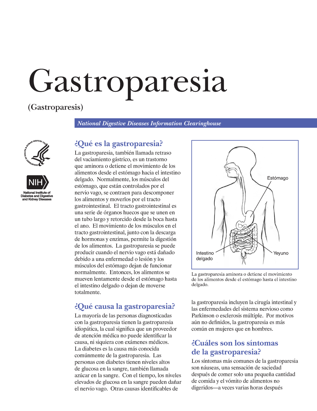 GastroparesisSpanish508 Gastroparesia (Gastroparesis) National