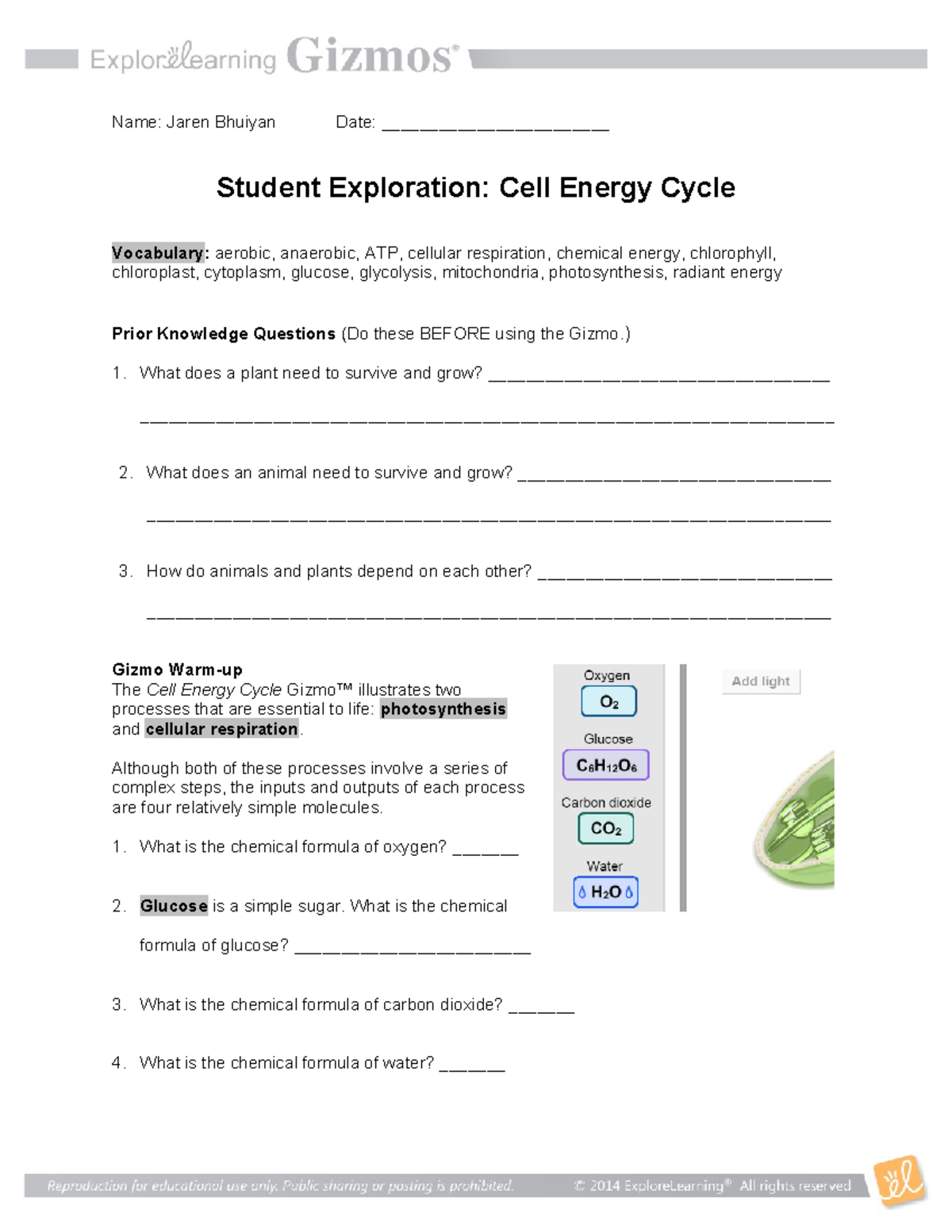 Cell Energy - This is an assignment the teacher assigned as a test ...