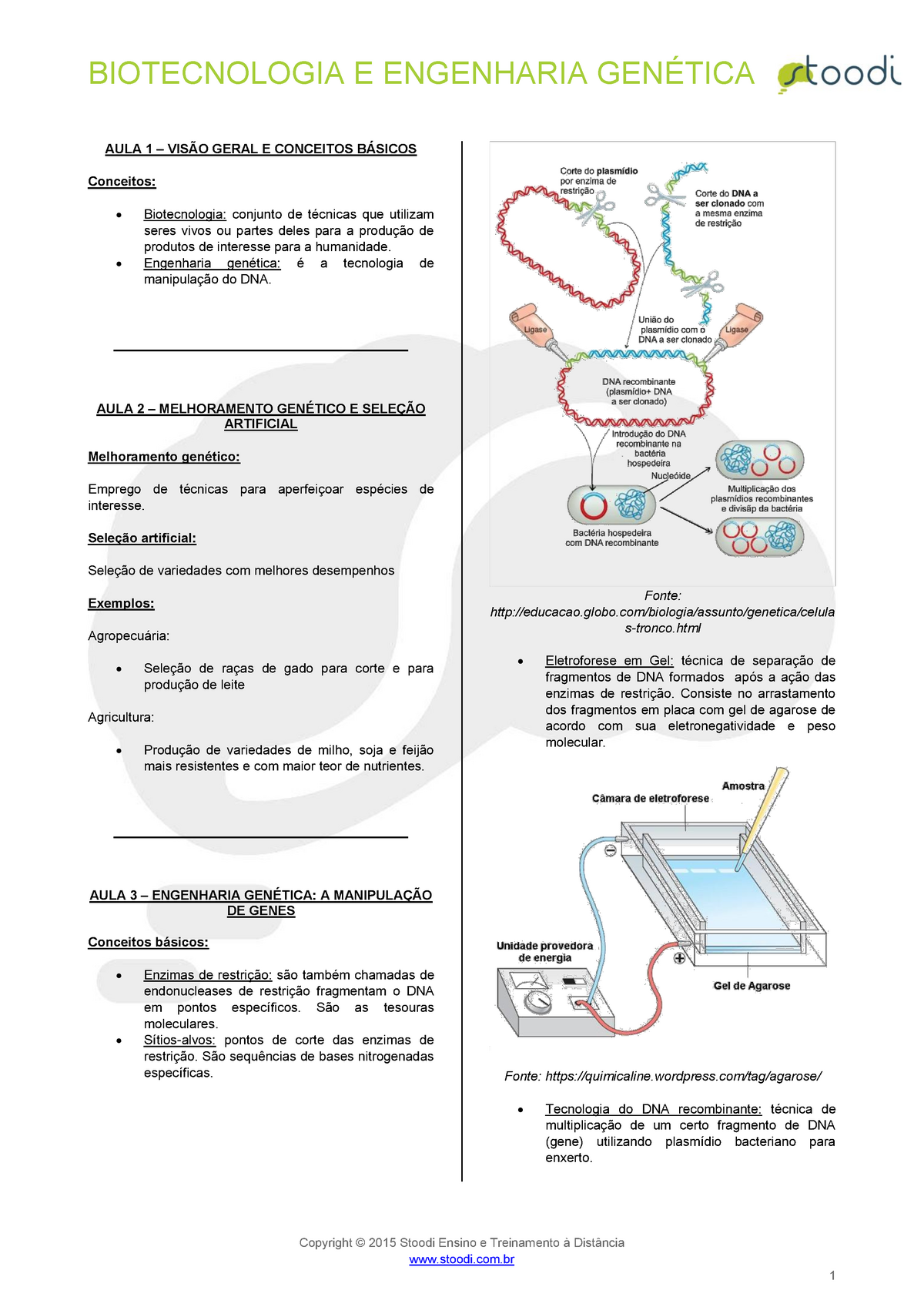 Biologia Biotecnologia E Engenharia Genetica V01 - BIOTECNOLOGIA E ...