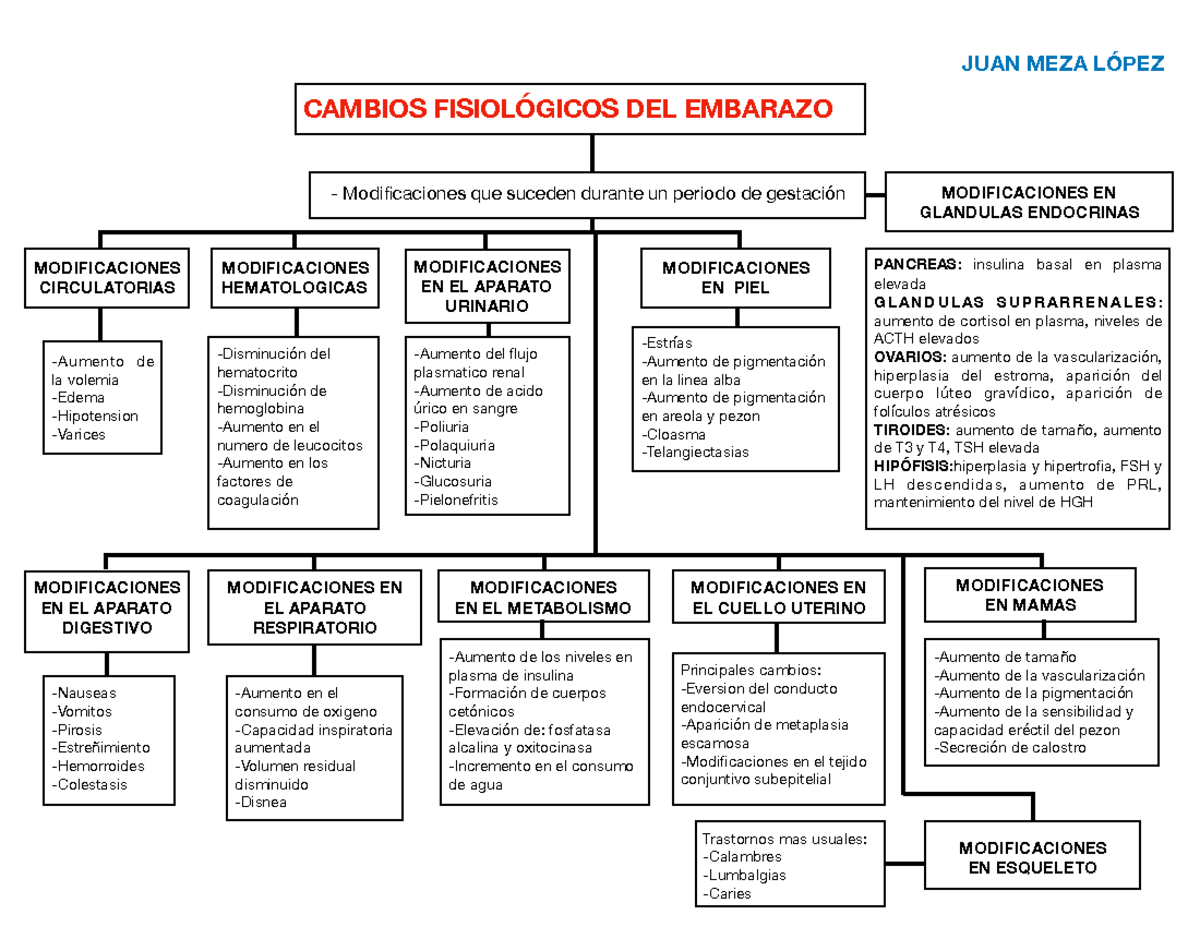 Cambios Fisiologicos Del Embarazo Méd1429 Unam Studocu