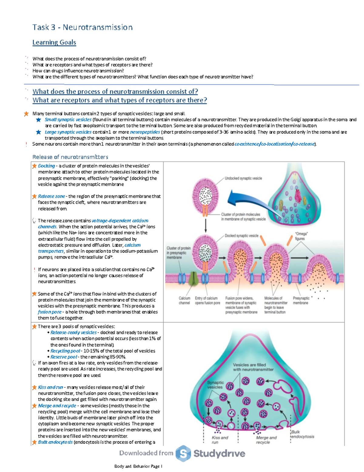 Task 3 - Neurotransmission - What Does The Process Of Neurotransmission ...