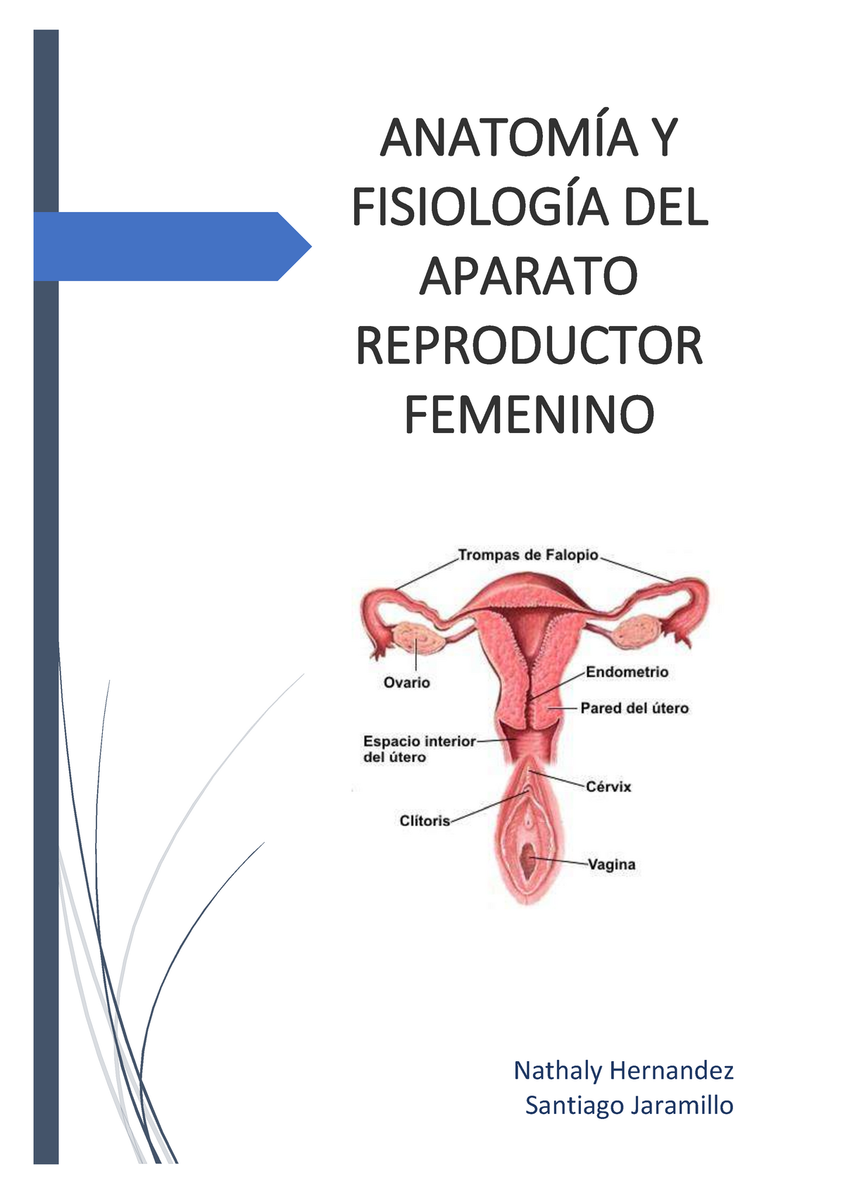 Pdf Anatomia Y Fisiologia Aparato Reproductor Anatomia Y Fisiologia