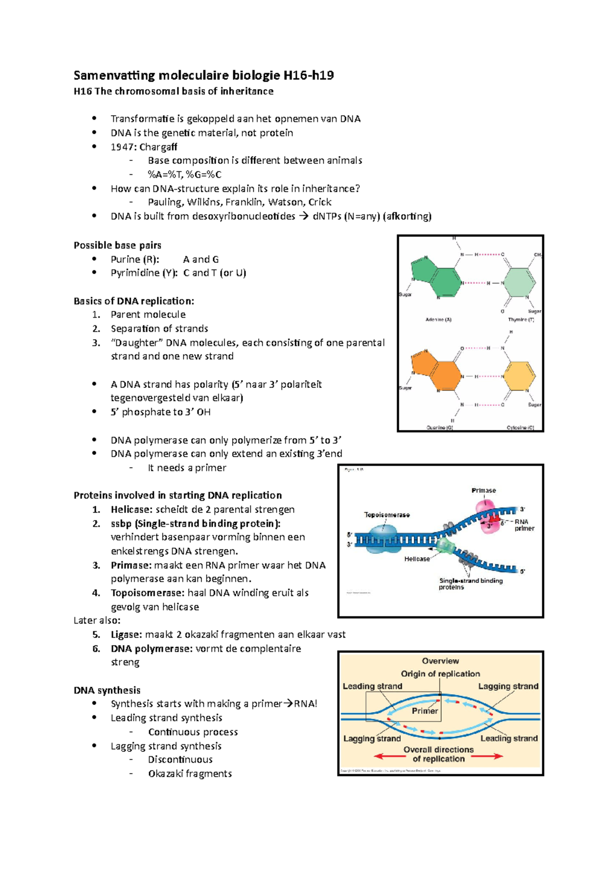 Samenvatting Moleculaire Biologie H16-20 - Samenvatting Moleculaire ...