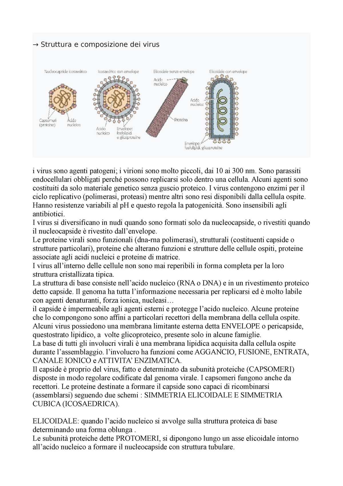 struttura proteica di base