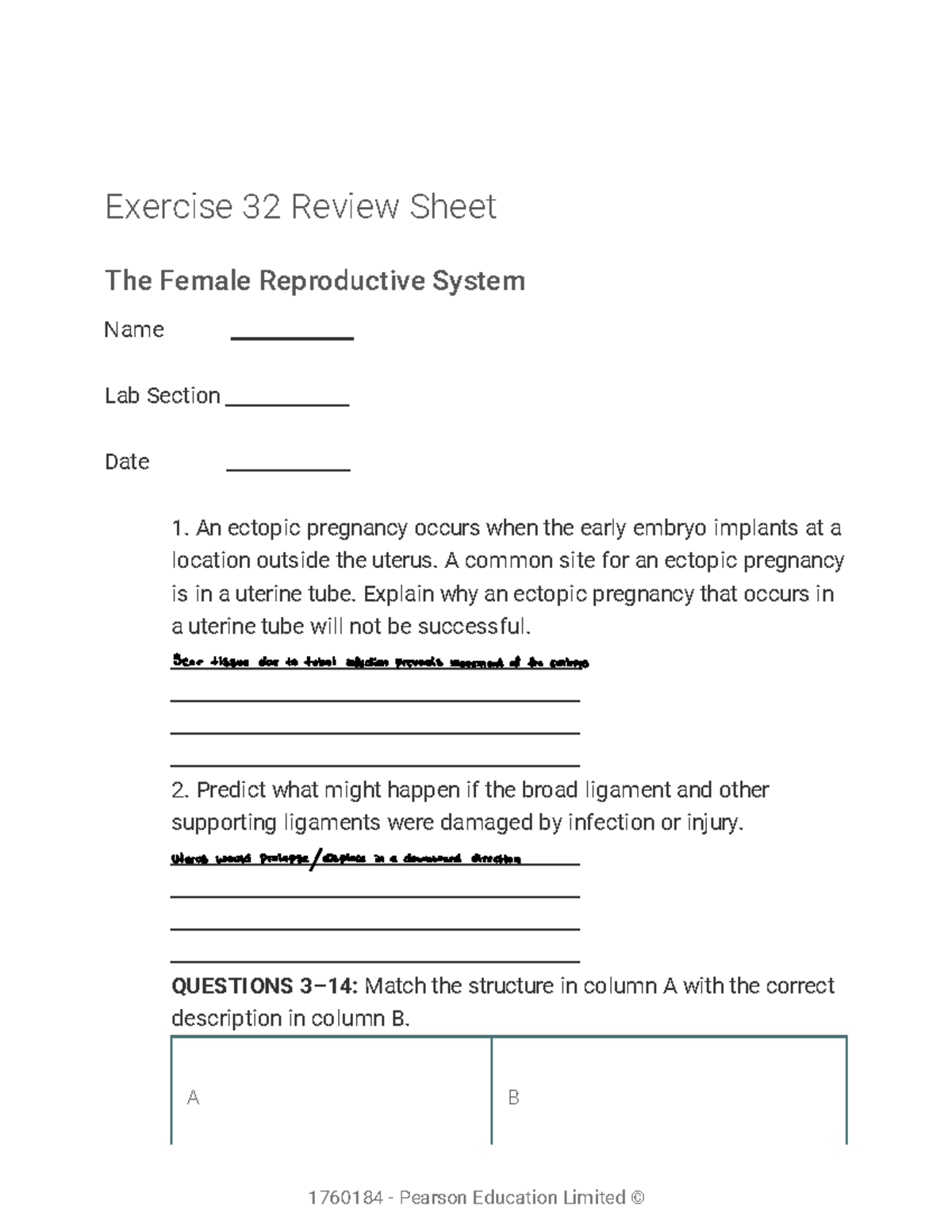 Chapter 32 completed lab assignment Exercise 32 Review Sheet The Female Reproductive System