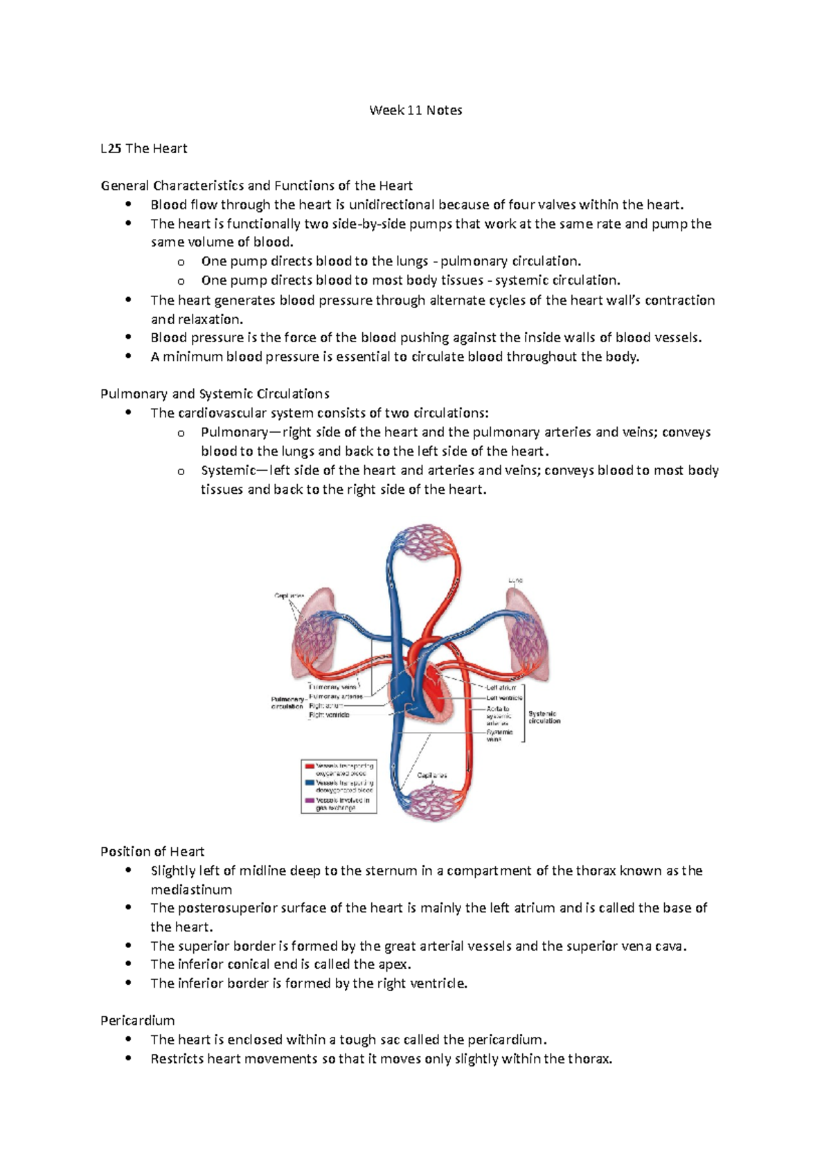 Week 11 Notes - Week 11 Notes L25 The Heart General Characteristics and ...