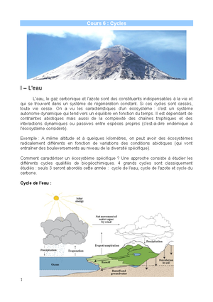 Cours 7 Ecologie Générale - Cours 6 : Cycles I – L'eau L'eau, Le Gaz ...