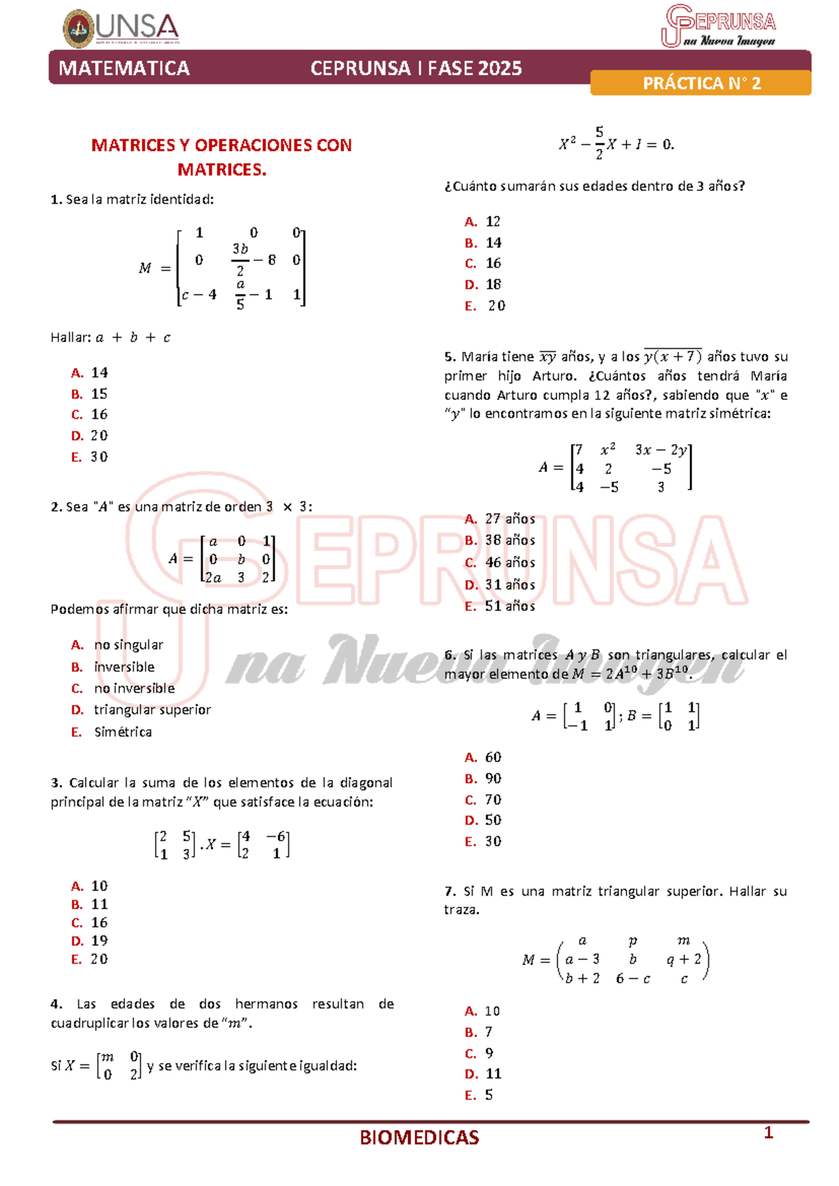 P2 - Matematica - practica básica - PRÁCTICA N° 2 1 MATRICES Y ...