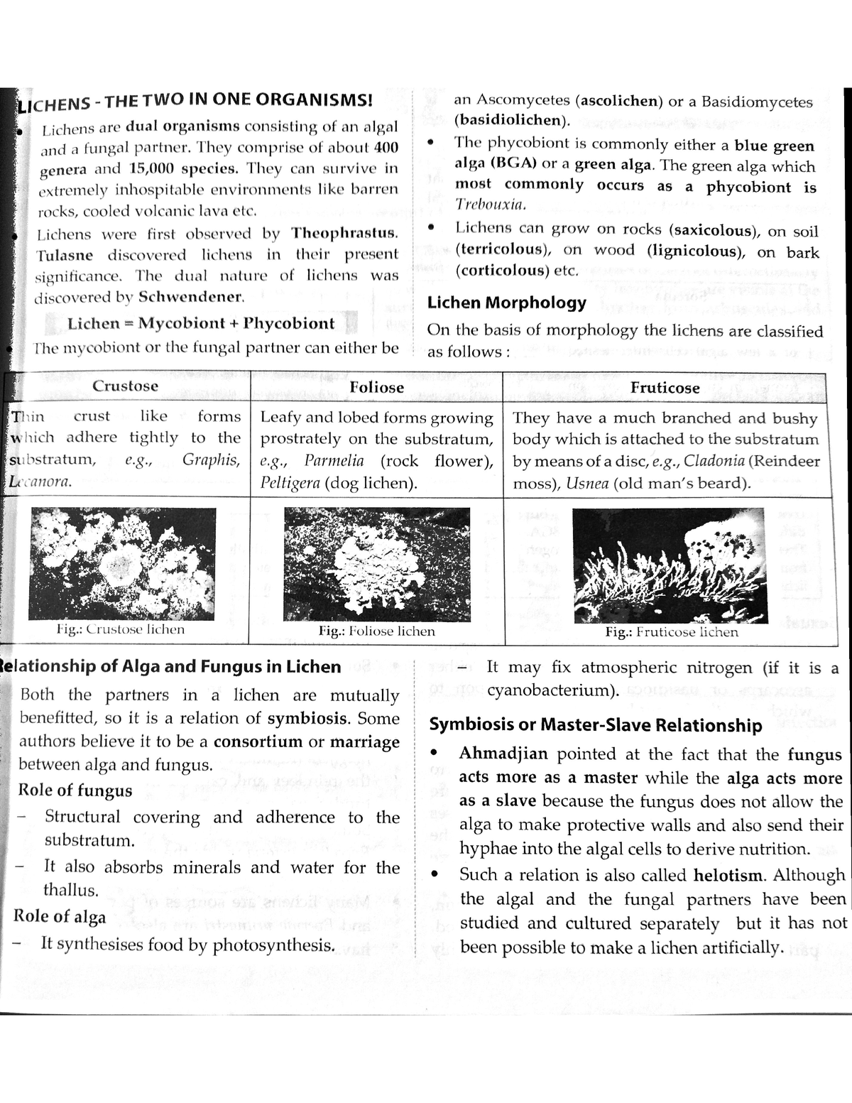 biological-classification-10-biology-studocu