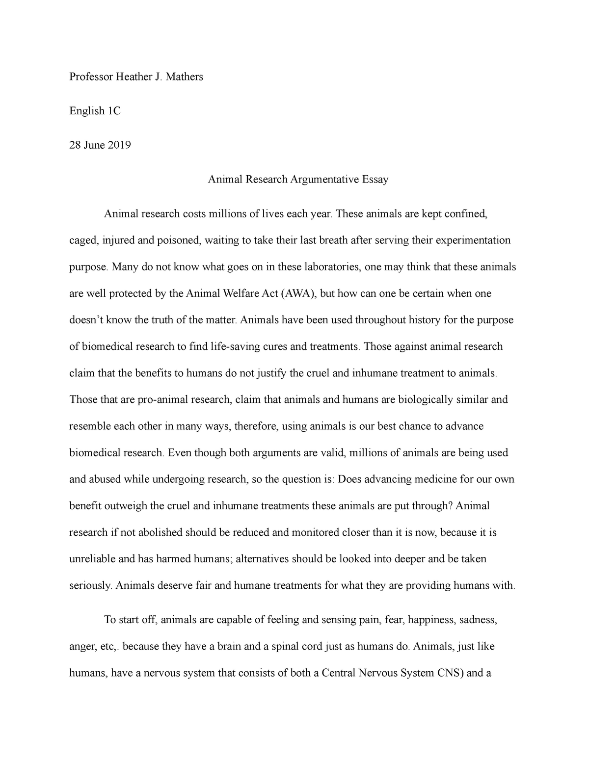 is animal testing ethical essay