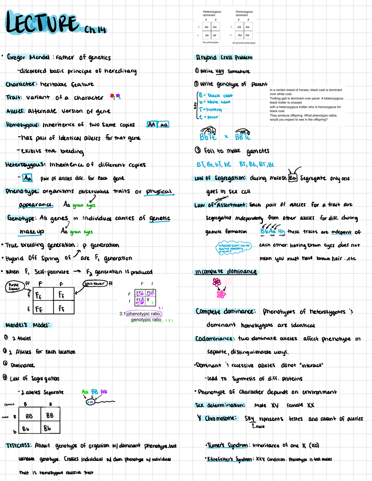 BIO-4A 9 - Covers chapter 14: Mendel's model, genetic inheritance ...