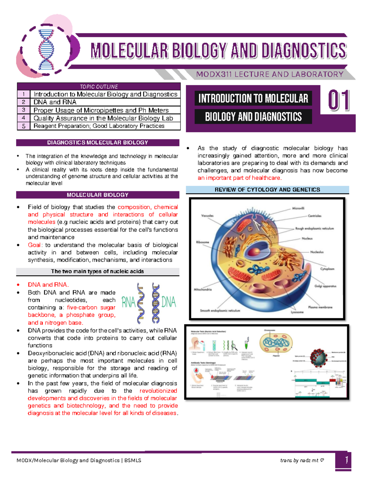 molecular biology thesis topics