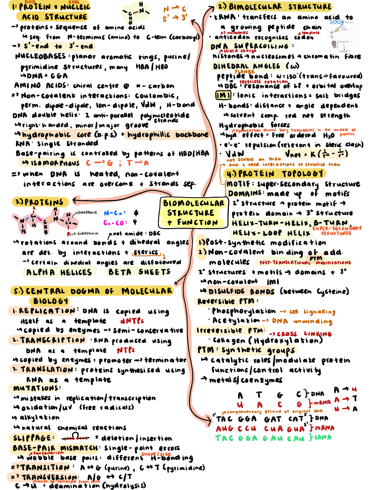 Biomolecular Structure And Function - CHEM 40009 - Imperial - Studocu