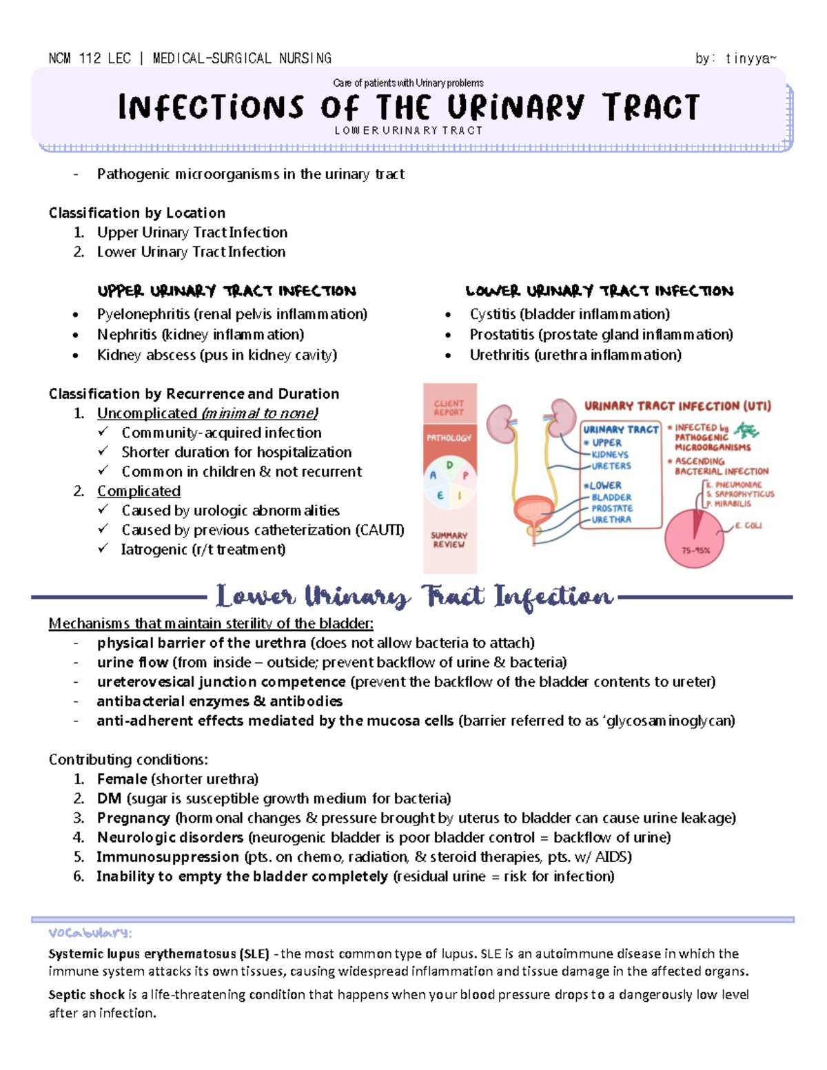 Lower Urinary Tract Infections Vocabulary Systemic lupus