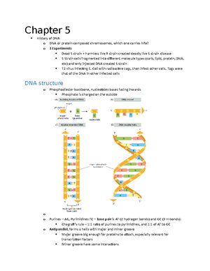 Chapter 4 Notes - bio - Chapter 4: Protein Structure and Function ...