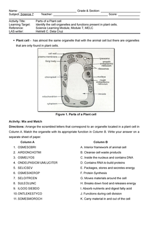 Mapeh-7 Health Q2 Summative-TEST - 2 Nd Quarter Summative Test MAPEH ...