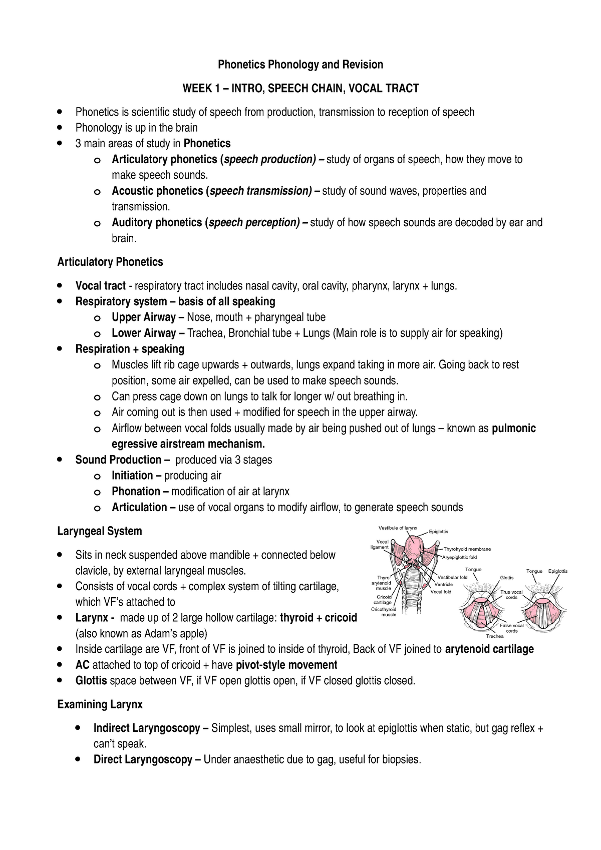 intro-to-phonetics-and-phonology-lecture-notes-1-9-phonetics