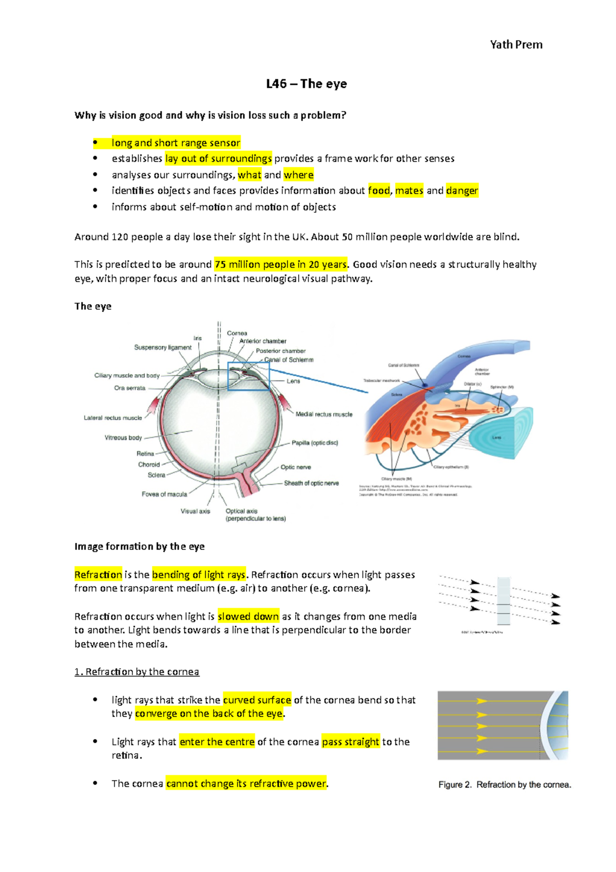 L46 – The eye - Lecture notes from Year 2 MBBS at UCL - Neuroscience ...