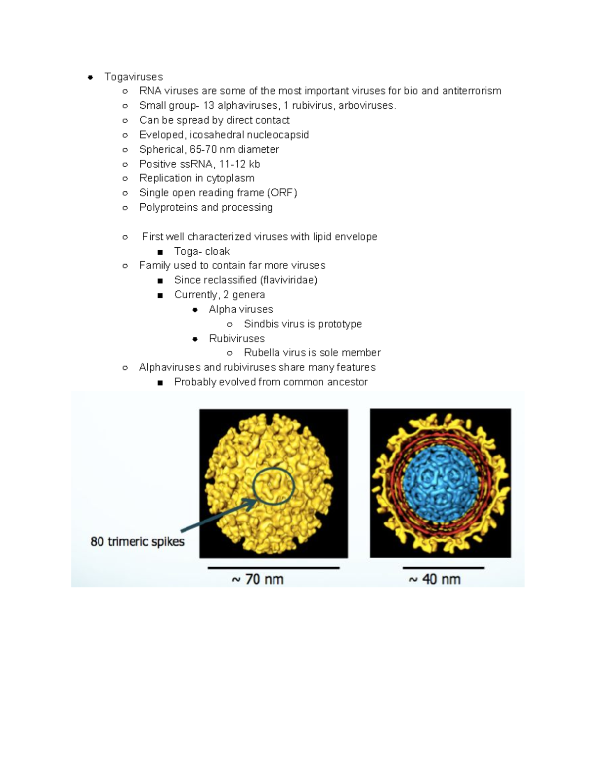 Lecture 11 Togaviruses - ○ Togaviruses ○ RNA viruses are some of