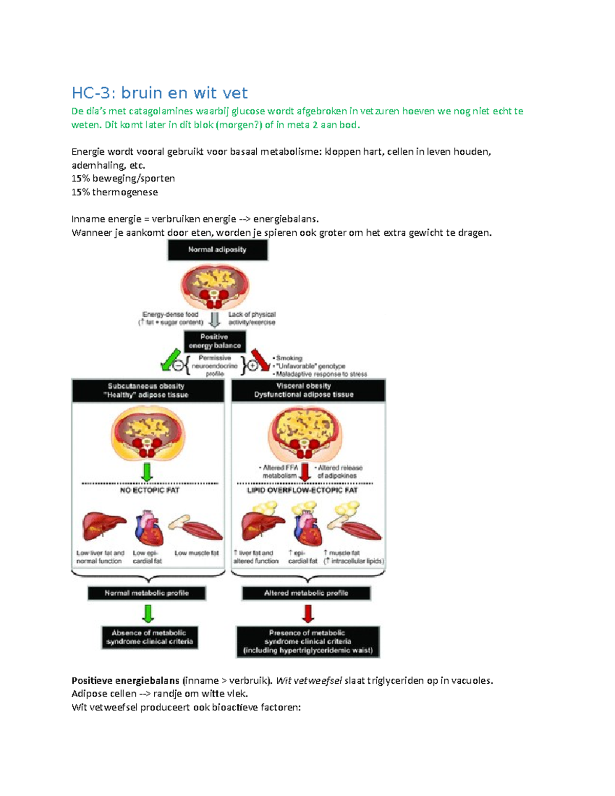 Hc 3 Bruin en Wit Vet bruin en wit vet De met catagolamines waarbij glucose wordt afgebroken