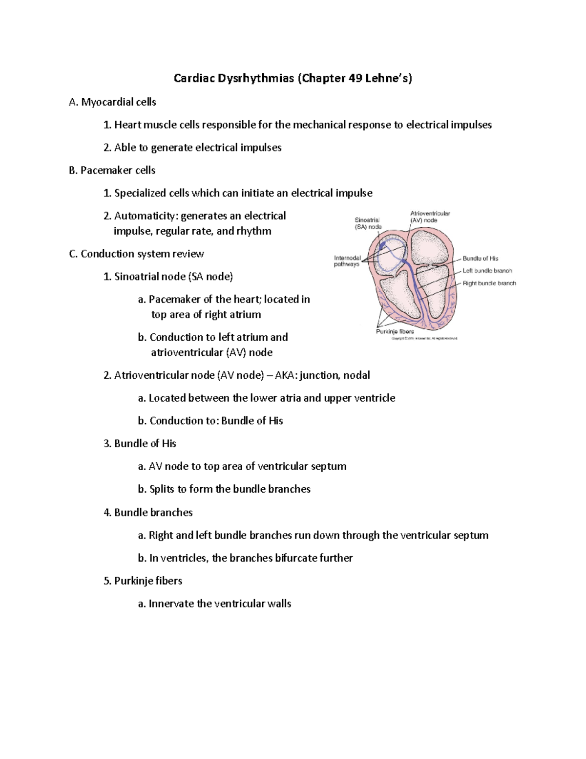 Antidysrhythmics - notes - Cardiac Dysrhythmias (Chapter 49 Lehne’s) A ...