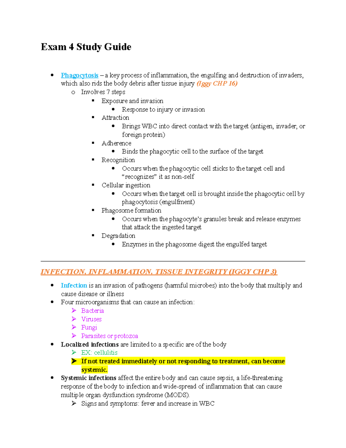 Exam 4 Study Guide - Notes - Exam 4 Study Guide Phagocytosis – a key ...