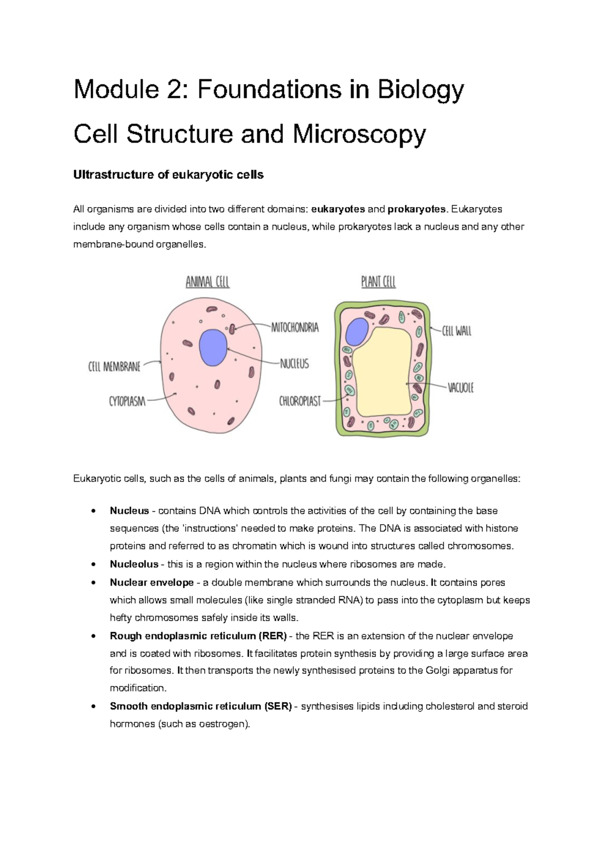Module+2+Cell+Structure+and+Microscopy - Module 2: Foundations in ...
